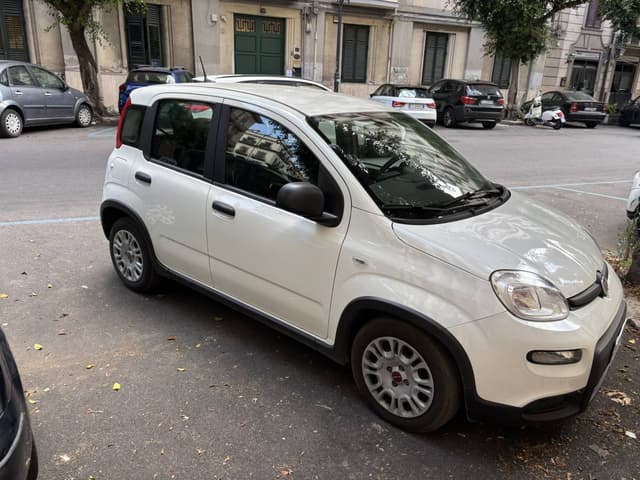 Photo 3 by Mikita H. (7/22/25)