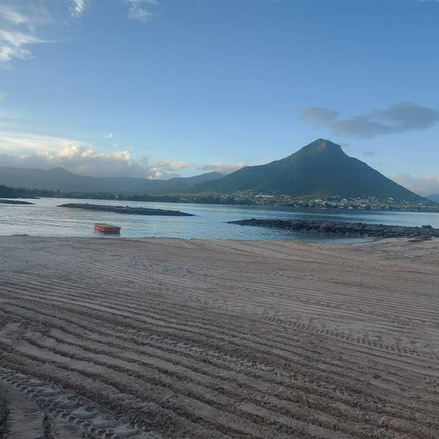 Photo 2 by Carol T. (3/20/24)