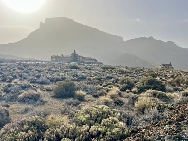 Photo 4 by Roman Sergeevich K. (3/17/26)