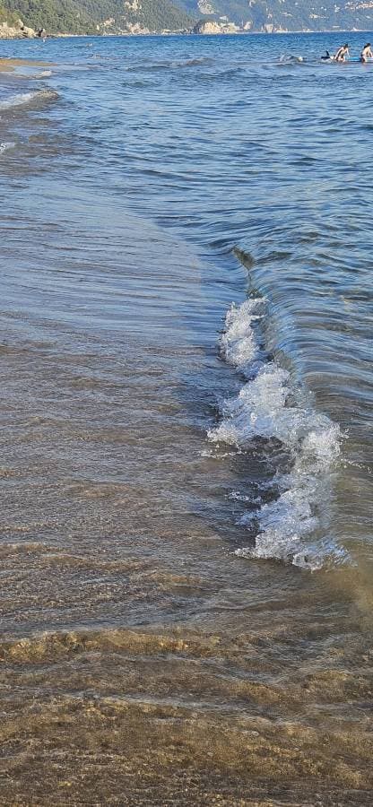 Photo 2 by Dmitry V. (6/28/24)