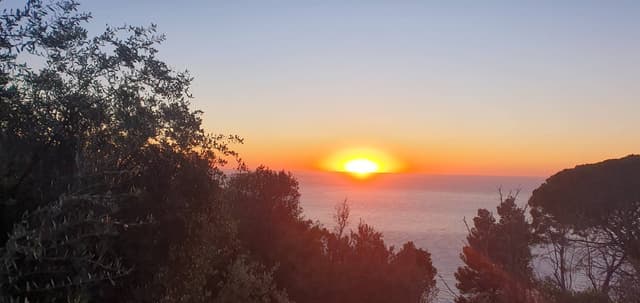 Photo 3 by Doychin D. (4/19/24)