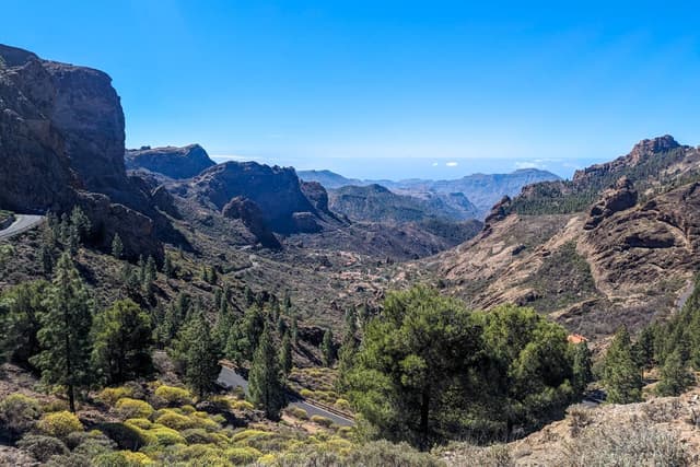 Photo 1 by Chris R. (2/28/24)