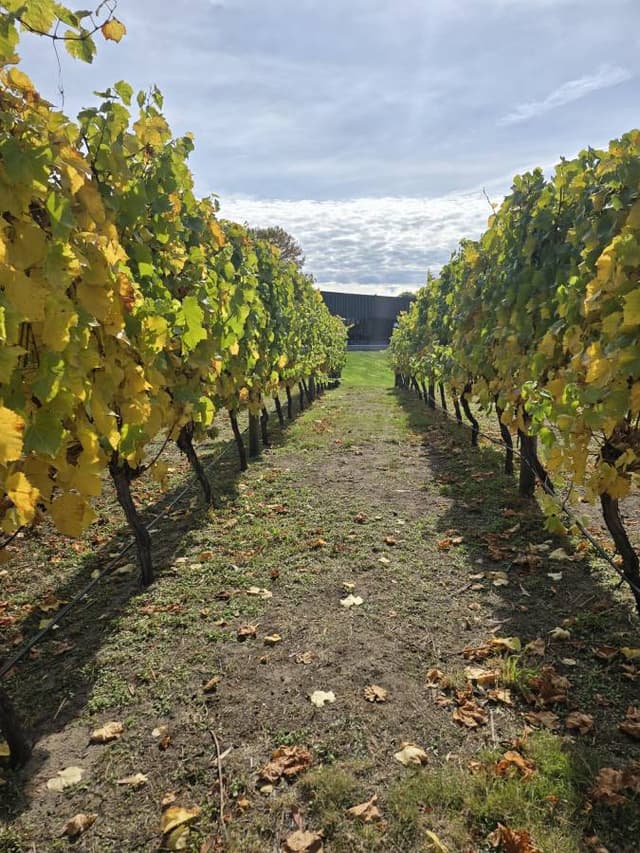 Photo 4 by Christine A. (4/29/25)