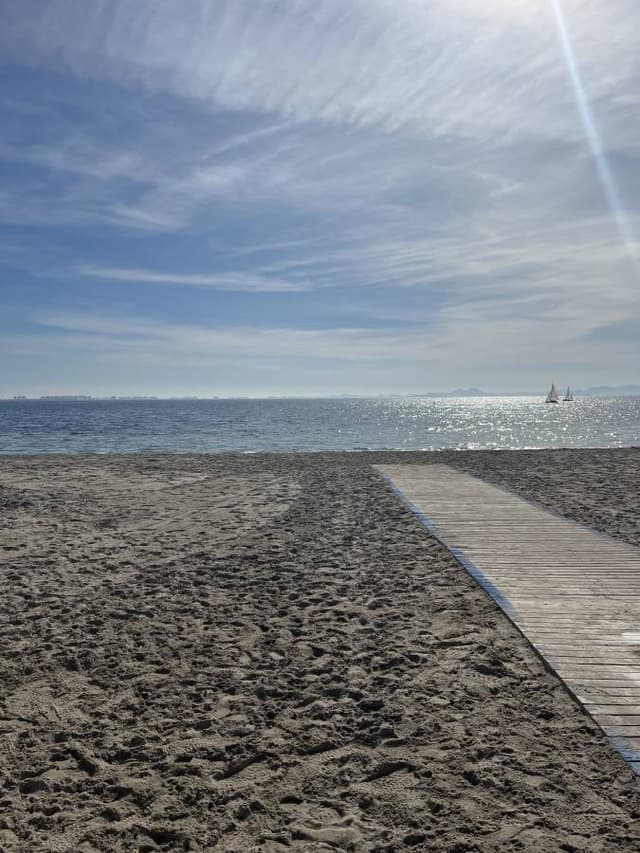 Photo 2 by Wayne F. (2/9/24)