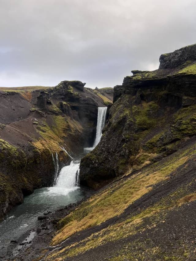 Photo 1 by Jenna H. (11/14/24)