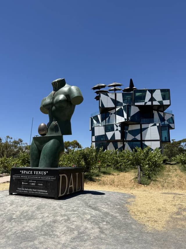 Photo 5 by Cheryl L. (1/10/26)