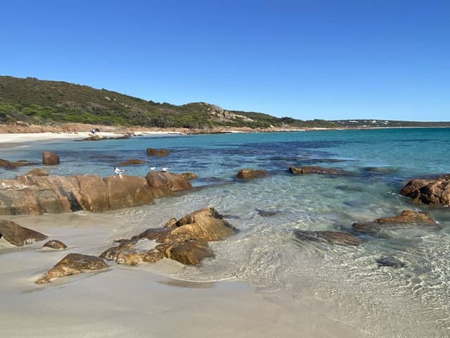 Photo 1 by Graeme R. (3/24/23)