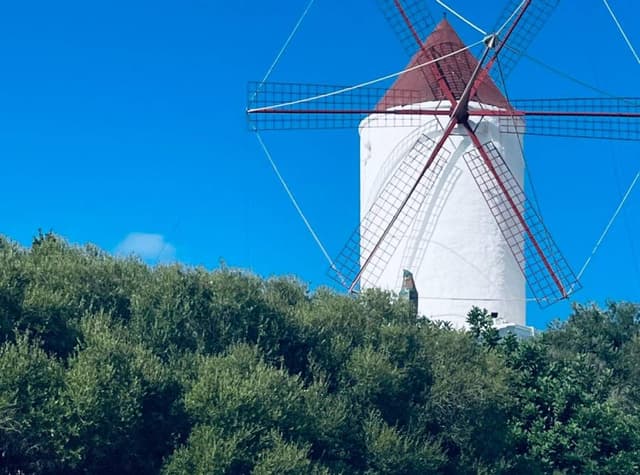 Photo 2 by Malcolm C. (7/27/23)