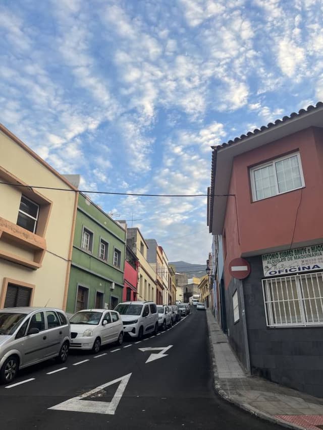 Photo 1 by Zofia K. (12/23/24)