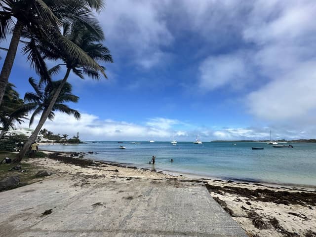 Photo 3 by Akhil A. (11/23/24)