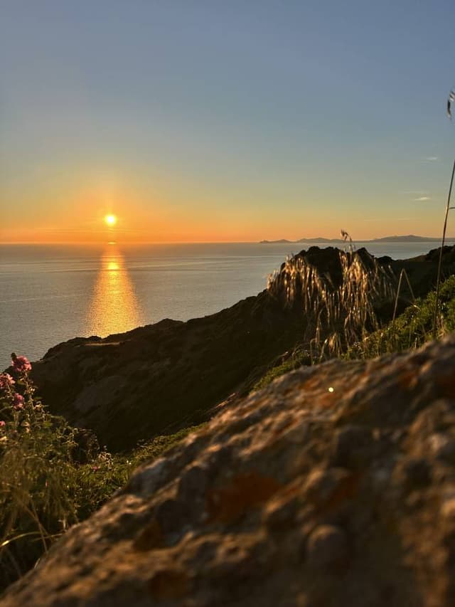 Photo 3 by Michal F. (6/2/25)