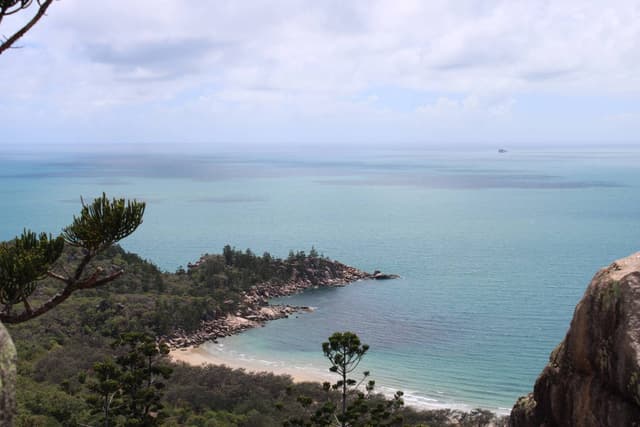 Photo 3 by Thomas P. (12/4/24)