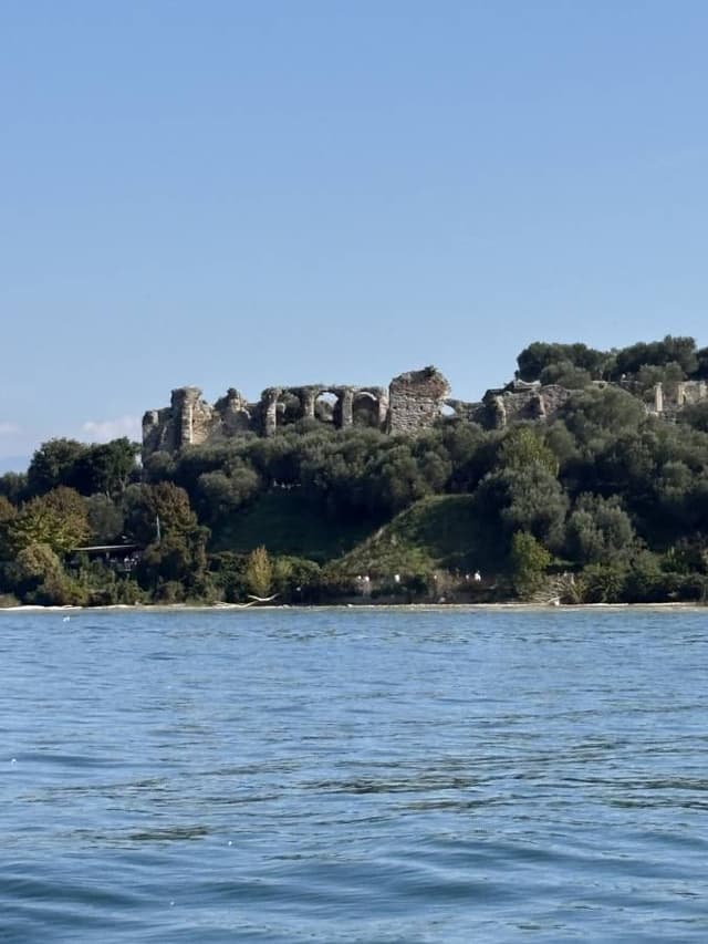 Photo 2 by Laura F. (10/12/25)