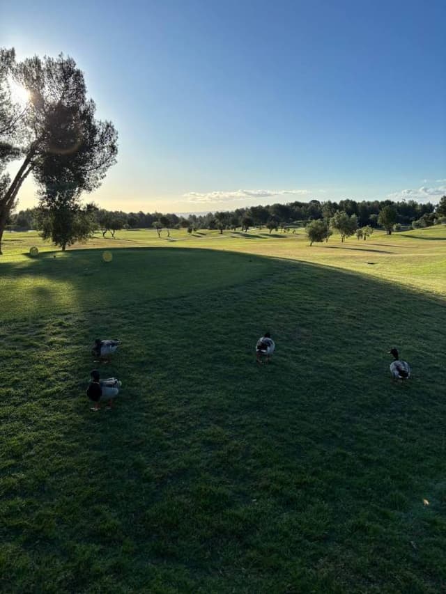 Photo 2 by Aleksandrs B. (5/7/24)