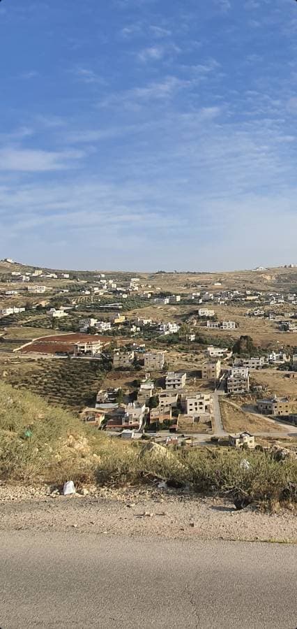 Photo 4 by Yaser M. (5/21/23)