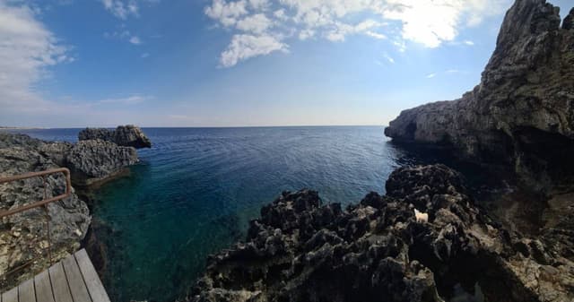 Photo 2 by David E. (2/6/25)