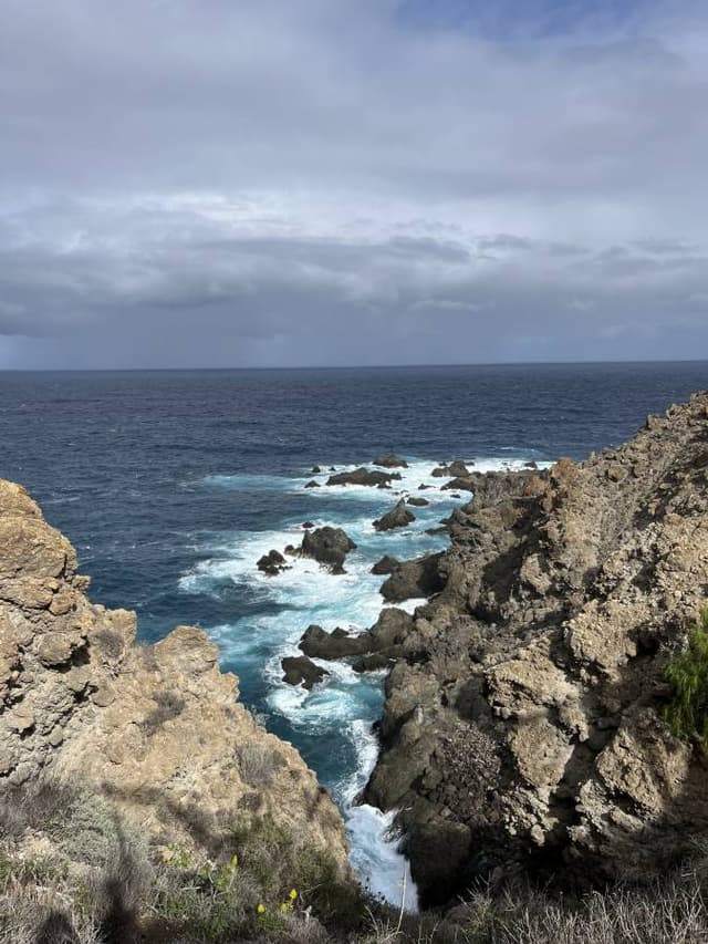 Photo 2 by Zofia K. (12/23/24)