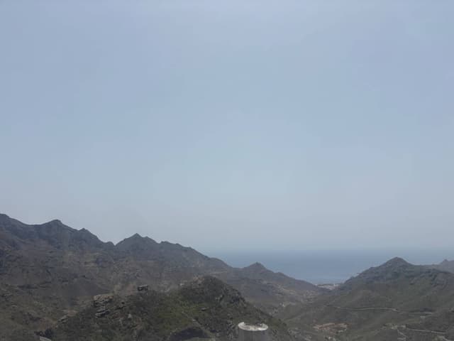 Photo by Ewa Z. (8/11/25)