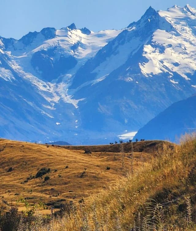 Photo by Kate S. (1/20/26)