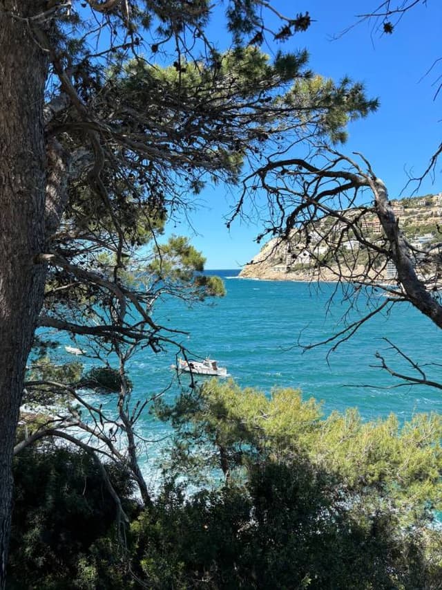 Photo 3 by Aleksandrs B. (5/7/24)