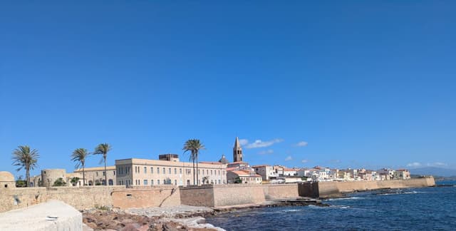 Photo by Helen R. (7/31/25)