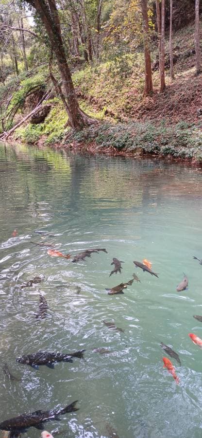 Photo 8 by steven M. (3/22/26)