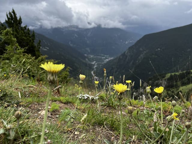 Photo 3 by Dragana G. (8/16/24)