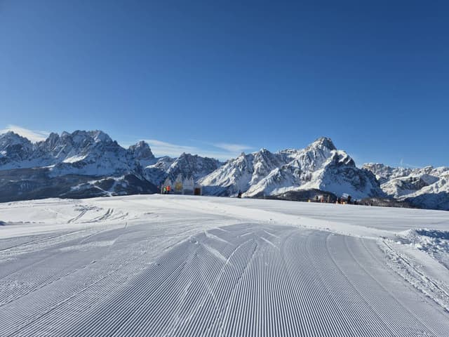 Photo 1 by Gintaras V. (2/20/26)