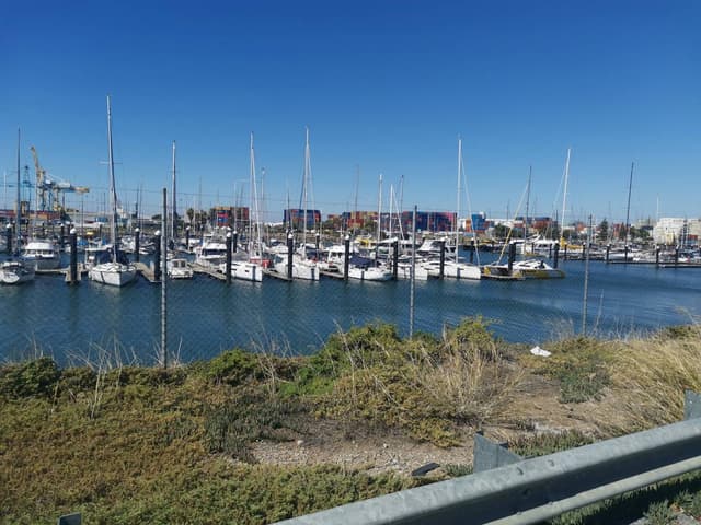 Photo 1 by Shona W. (2/4/24)