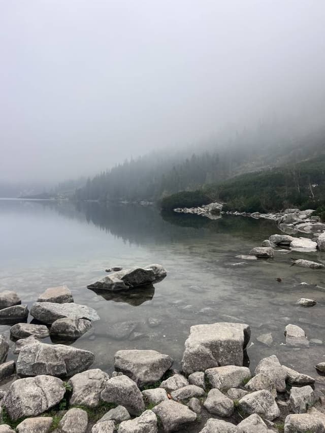 Photo 1 by ayman T. (5/9/24)