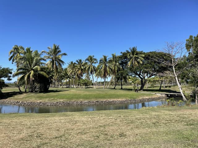 Photo 1 by Cecilia L. (7/30/25)