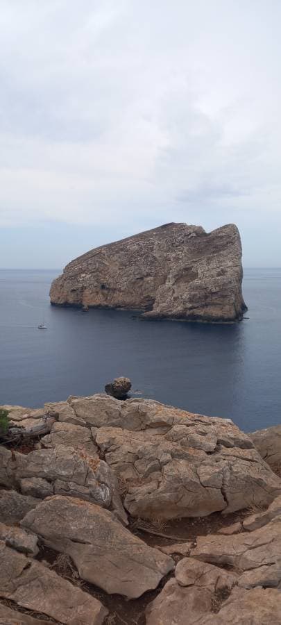 Photo 4 by Rafael S. (12/24/23)