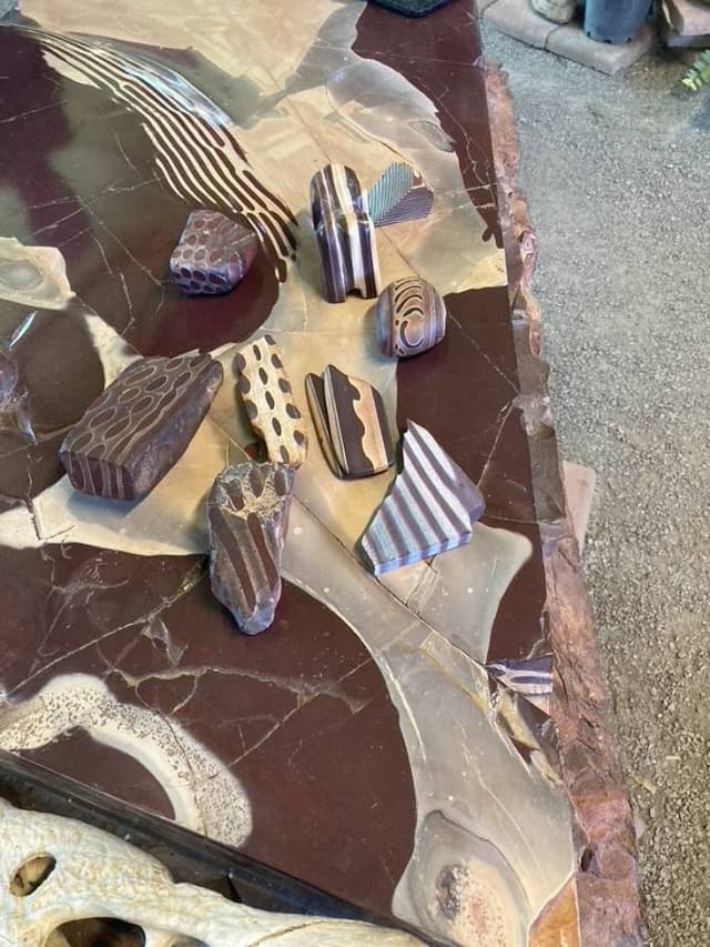 Photo 1 by Ann P. (9/7/23)