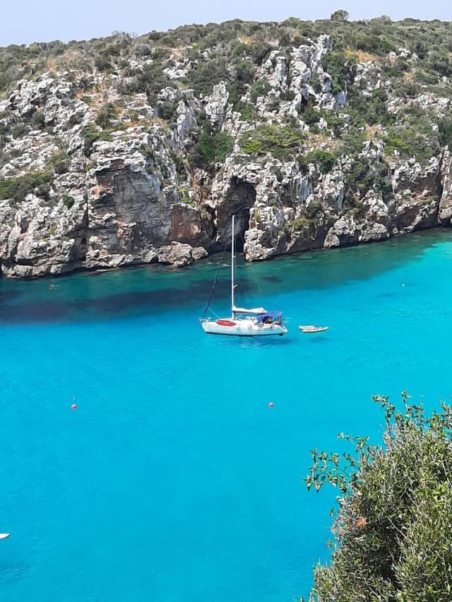 Photo 2 by Anton N. (7/31/23)