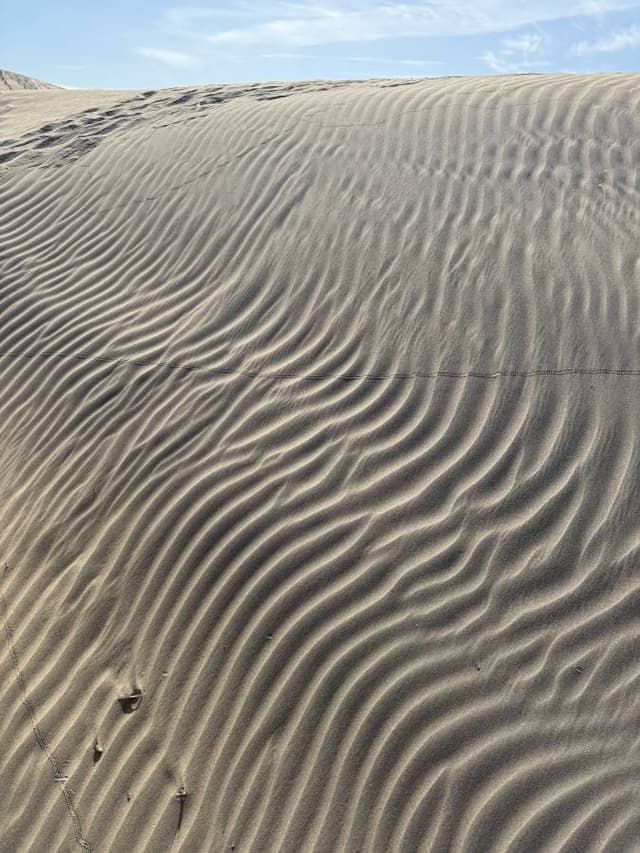 Photo 4 by Mark A. (5/27/25)