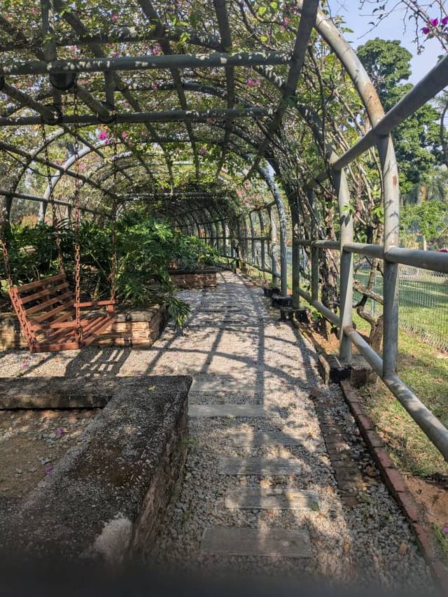 Photo by Ahmed V. (7/23/25)