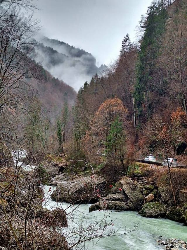 Photo 1 by Bruce W. (1/15/24)