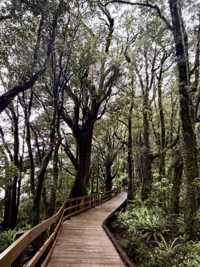 Photo 4 by Jacqueline R. (2/21/26)