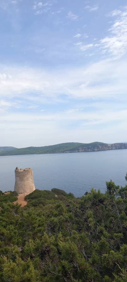 Photo 5 by Rafael S. (12/24/23)