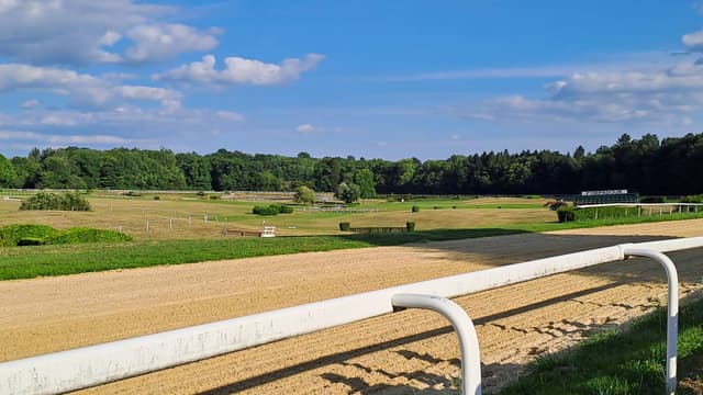 Photo 1 by Robert B. (8/7/25)