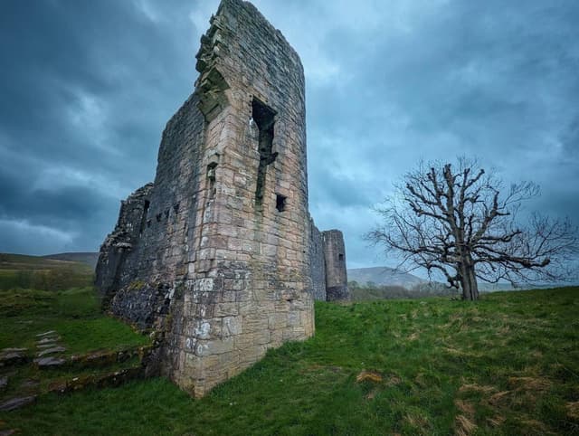 Photo 2 by Lesli Q. (8/7/24)