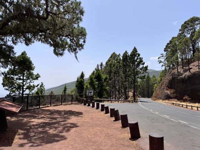 Photo 4 by Peter Asger G. (8/19/25)