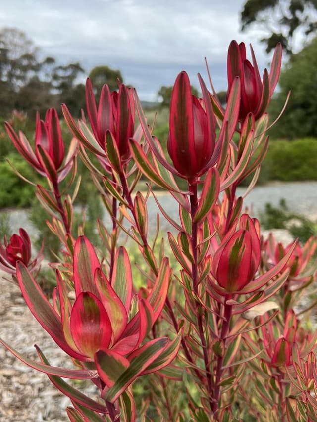 Photo 5 by Dan C. (6/19/24)