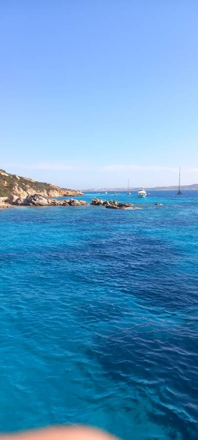 Photo 6 by Rafael S. (12/24/23)