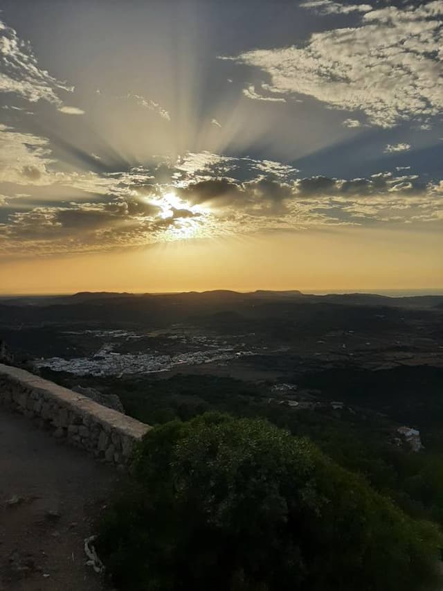 Photo 3 by Anton N. (7/31/23)