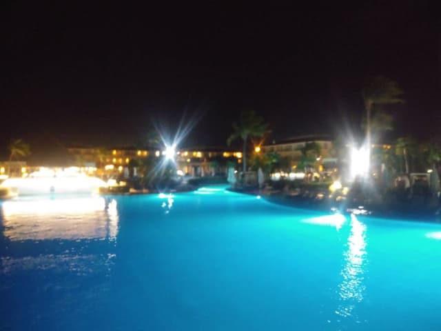 Photo 4 by Denis T. (2/14/24)