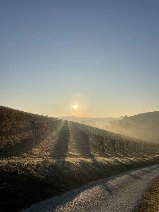 Photo 2 by Tymofii S. (2/2/25)