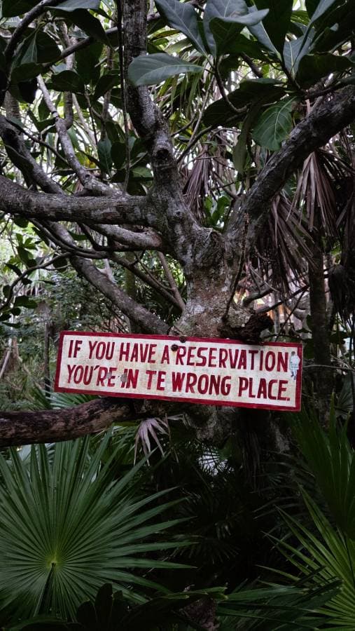 Photo 2 by Aleksander W. (1/26/26)