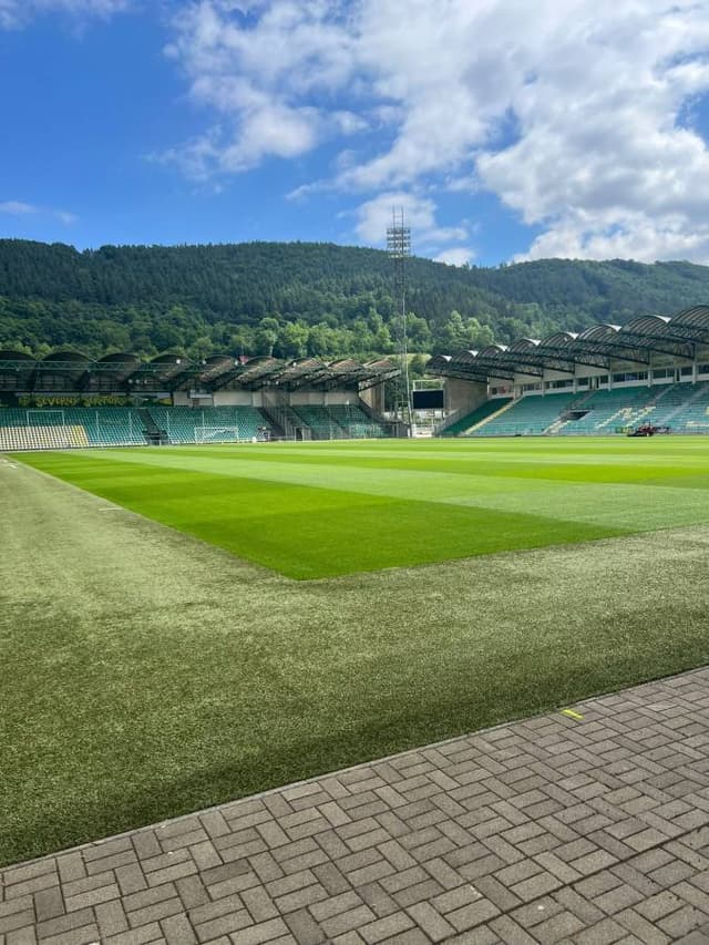 Photo 1 by ilan S. (6/24/24)