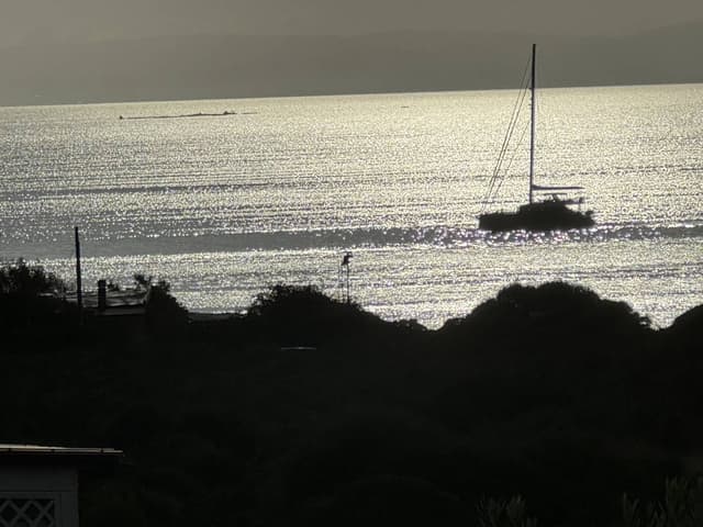 Photo by Joni C. (10/1/24)